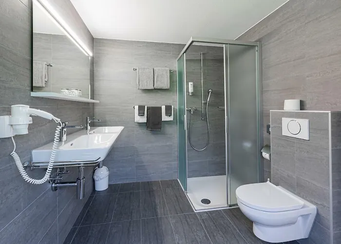 宾馆 布林恩霍恩酒店 3*